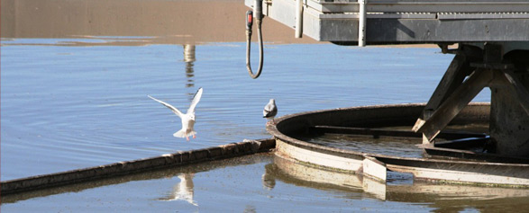 Treatment Plant Environment
